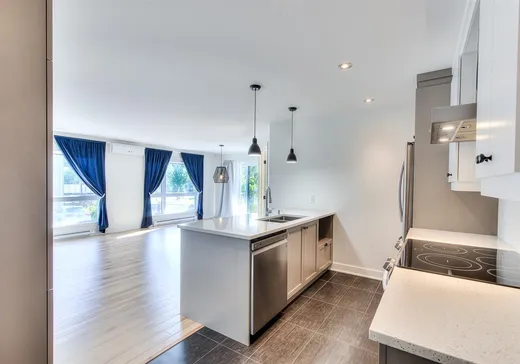 Condo à vendre - 3845 Rue Emma-Collin, App. 104, Montréal (Le Sud-Ouest), H3C 4Z5