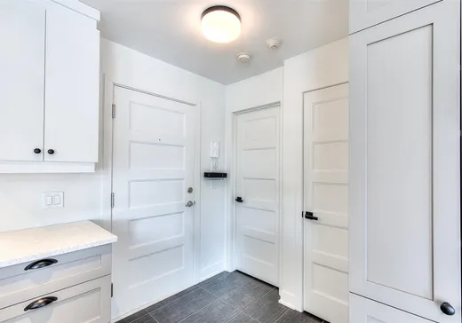 Condo à vendre - 3845 Rue Emma-Collin, App. 104, Montréal (Le Sud-Ouest), H3C 4Z5