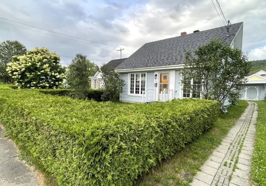 Maison à vendre - 710 Rue Castelnau, La Tuque, G9X 2P6