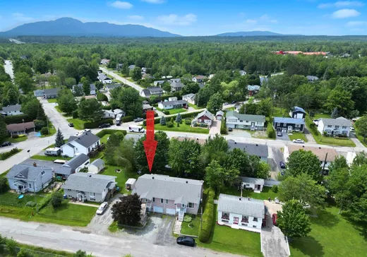 House for sale - 455 Rue Duplessis, Magog, J1X 4A6