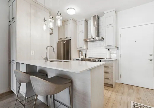 Condo à vendre - 740 Av. Victoria 312, Saint-Lambert, J4R 0A8