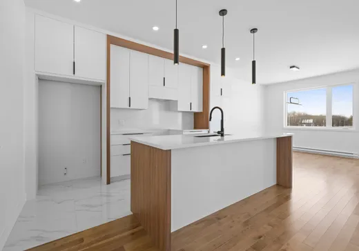 Maison à vendre - 295 Mont-Rougemont, Granby, J2G 6S8