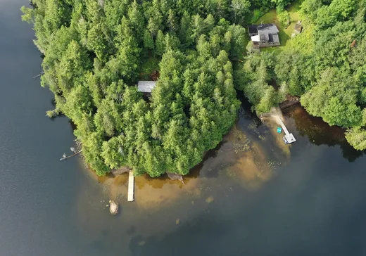 Maison à vendre - 2219 Ch. du Lac-Brochet, Mont-Tremblant, J0T 1H0