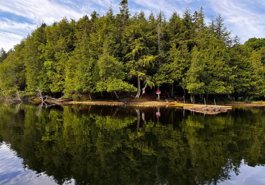 Maison à vendre - 2219 Ch. du Lac-Brochet, Mont-Tremblant, J0T 1H0
