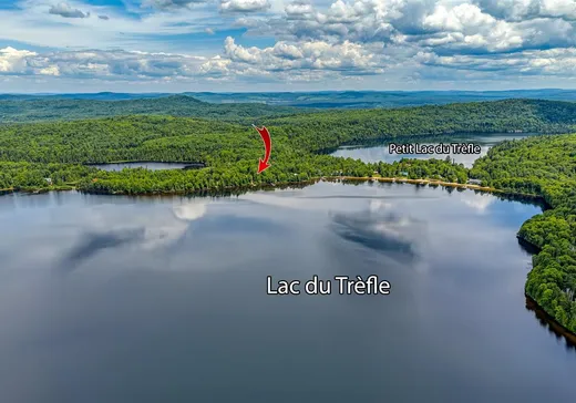 Maison à vendre - 1290 Ch. du Lac-du-Trèfle, Saint-Michel-des-Saints, J0K 3B0