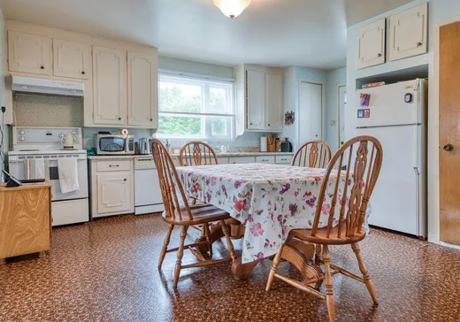Maison à vendre - 50 Rue Paul-VI, Thetford Mines, G6G 5P3