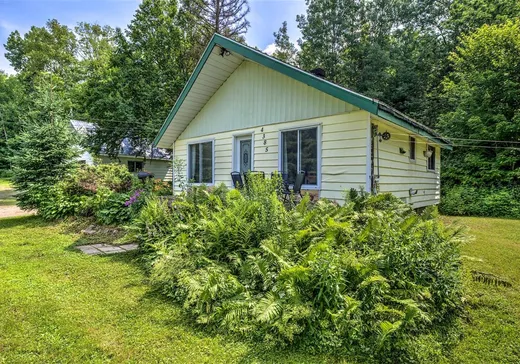 House for sale - 4385 Rue Léonard, Mont-Tremblant, J8E 2A5