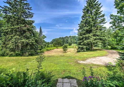 House for sale - 4385 Rue Léonard, Mont-Tremblant, J8E 2A5