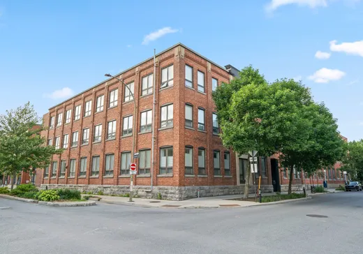 Condo à vendre - 4211 Rue de Rouen, Montréal (Mercier/Hochelaga-Maisonneuve), H1V1G7