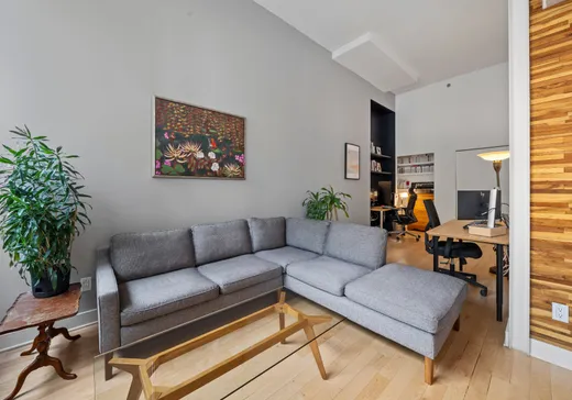 Condo for sale - 4211 Rue de Rouen, Montreal (Mercier/Hochelaga-Maisonneuve), H1V 1G7