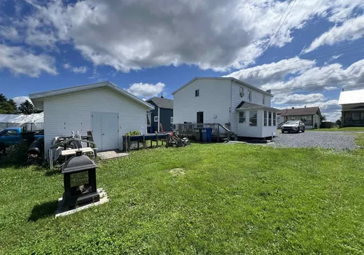 Maison à vendre - 380 Rue Principale, Saint-Cyprien-Des-Etchemins, G0R 1B0
