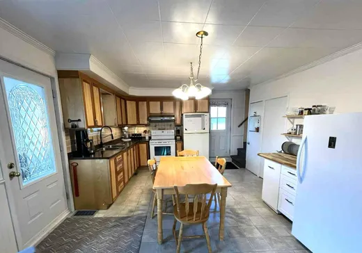 Maison à vendre - 380 Rue Principale, Saint-Cyprien-Des-Etchemins, G0R 1B0