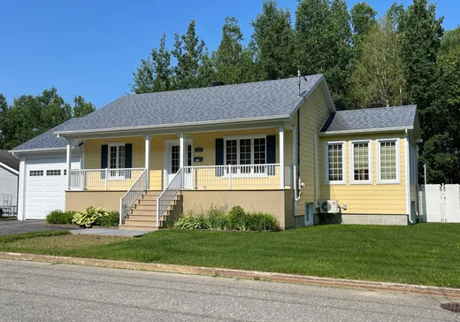 House for sale - 49 Rue Marie-Rollet, La Tuque, G9X 4J5