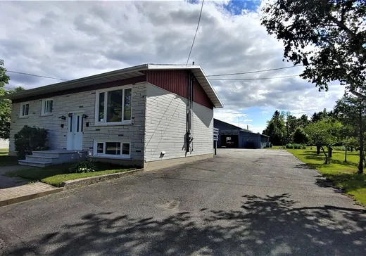 Maison à vendre - 334 Route de l'Église, Saint-Jean-Port-Joli, G0R 3G0