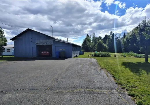 Maison à vendre - 334 Route de l'Église, Saint-Jean-Port-Joli, G0R 3G0