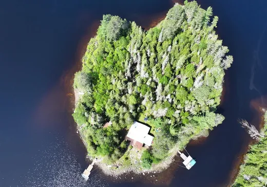 Maison à vendre - 1 Lac Ostaboningue, Ville-Marie, J9V 1X8