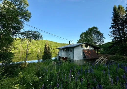 Maison à étages à vendre - 32 7e Rang E., Ste-Anne-Des-Lacs, J0W1V0