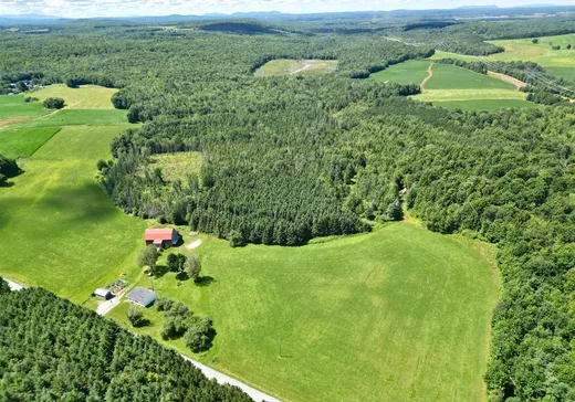 Maison à vendre - 100 Ch. Healy, Valcourt, J0E 1Y0