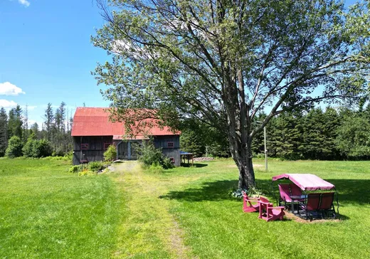 Maison à vendre - 100 Ch. Healy, Valcourt, J0E 1Y0