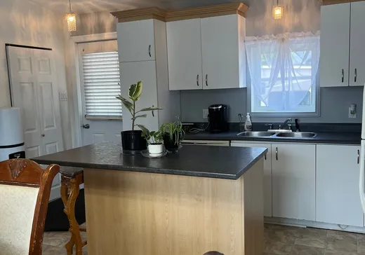 Maison à vendre - 4 Rue Boucher, Lévis, G7M 4M8