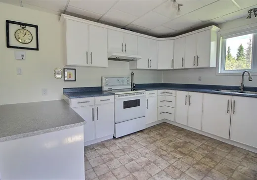 Maison à vendre - 5471 Rg Lavigne, Rouyn-Noranda, J9Y 1E4