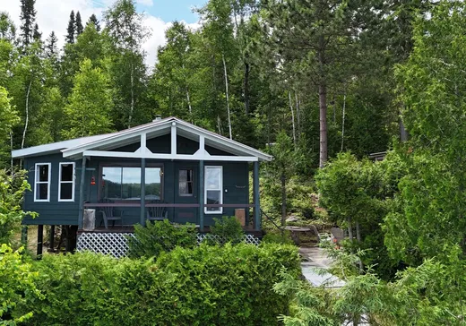Maison à vendre - 187 Rue Lac-La Tuque, La Tuque, G9X 0A4