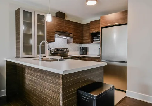 Condo à vendre - 195 Rue Mercier, App. 5, Les Coteaux, J7X 1R1
