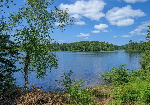Maison à vendre - 3902 Ch. Paiement, Sainte-Agathe-des-Monts, J8C 0P5