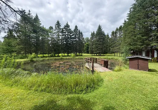 House for sale - 365 Rue McLaughlin, St-Remi-D'Amherst, J0T 2L0