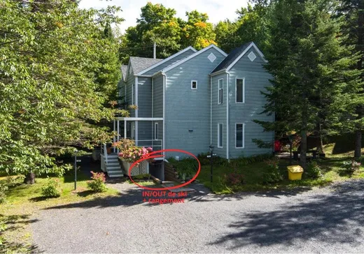 Maison à vendre - 36 Ch. des Alleghanys, Sutton, J0E 2K0