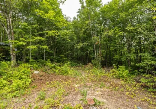 Maison à vendre - 40 Ch. Lisa-Bousquet, Notre-Dame-Des-Boies, J0B 2E0