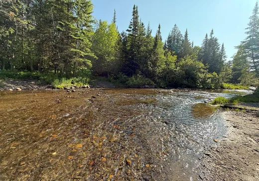 Fermette à vendre - 84-86 Rue Principale O., Notre-Dame-Des-Boies, J0B 2E0