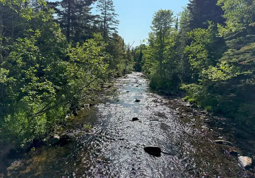 Fermette à vendre - 84-86 Rue Principale O., Notre-Dame-Des-Boies, J0B 2E0