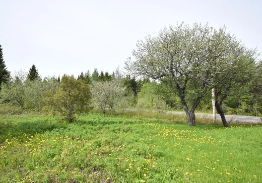 Maison à vendre - 222 Route 291 S., Saint-Hubert-de-rivière-du-loup, G0L 3L0