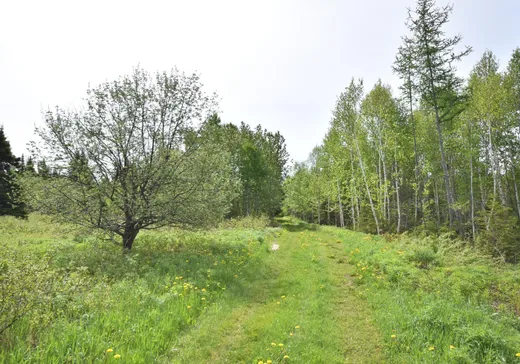 Maison à vendre - 222 Route 291 S., Saint-Hubert-de-rivière-du-loup, G0L 3L0