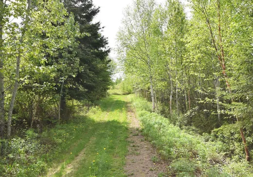 Maison à vendre - 222 Route 291 S., Saint-Hubert-de-rivière-du-loup, G0L 3L0