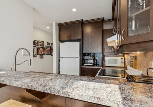 Condo à vendre - 10117 Rue Lajeunesse, Montréal (Ahuntsic/Cartierville), H3L 2E3