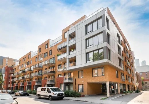 Condo for sale - 1248 Av. de l'Hôtel-de-Ville, App. 208, Montreal (Ville-Marie), H2X0B2