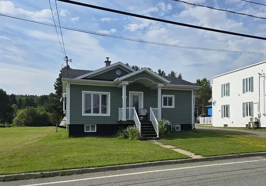 House for sale - 473 Route Principale, Sainte-Apolline-de-Patton, G0R 2P0