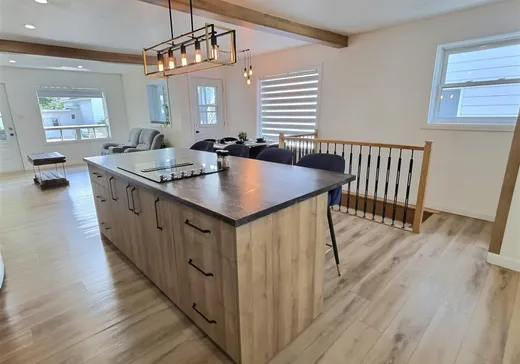 Maison à vendre - 13 Rue St-Antoine, Victoriaville, G6P 4G9
