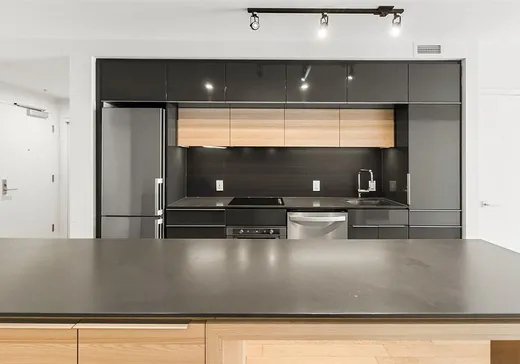 Condo for sale - 350 Rue Eleanor, App. 309, Montreal (Ville-Marie), H3C 0T5