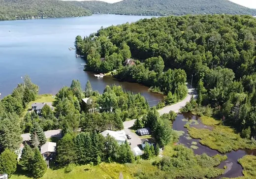 Maison à vendre - 10 Ch. Vaillancourt, St-Donat-De-Montcalm, J0T 2C0