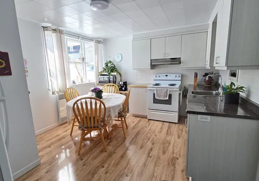 Maison à vendre - 12 Rue St-Raphaël, Matane, G0J 3L0