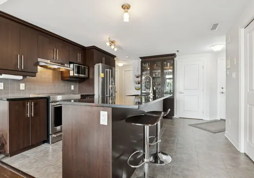 Condo à vendre - 15 Rue du Colonial, Gatineau (Aylmer), J9H 0B1