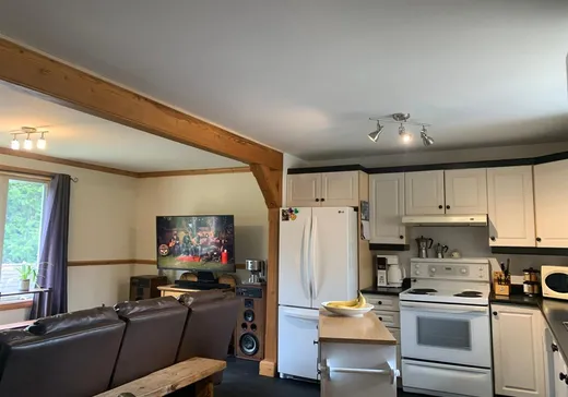 Maison à vendre - 1225 Ch. du Lac-Caché, Mont-Tremblant, J0T 1J2