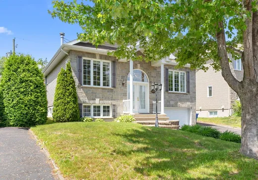 Maison à vendre - 6584 Rue de Vénus, Saint-Emile, G3E 2K5