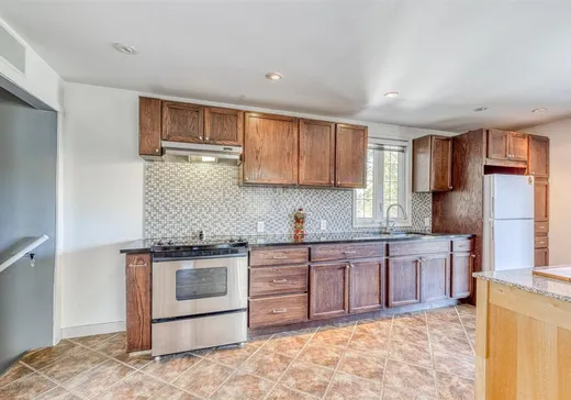 Maison à vendre - 140 Ch. Camélia, St-Adolphe d'Howard, J0T 2B0