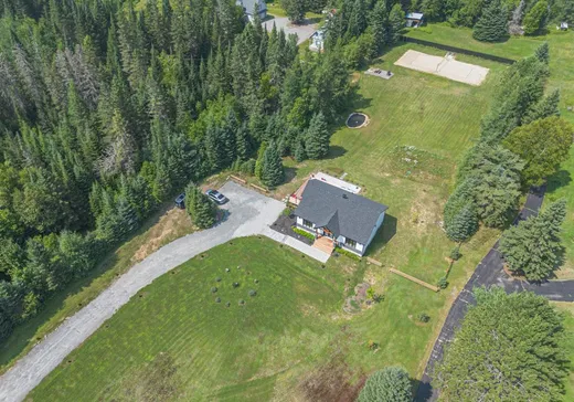 Maison à vendre - 145 7e Rang, Mont-Tremblant, J8E 1Y4