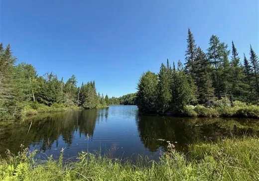 Maison à vendre - 6305 Mtée Fugère, Mont-Tremblant, J0T 1H0