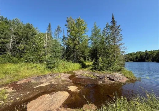 Maison à vendre - 6305 Mtée Fugère, Mont-Tremblant, J0T 1H0